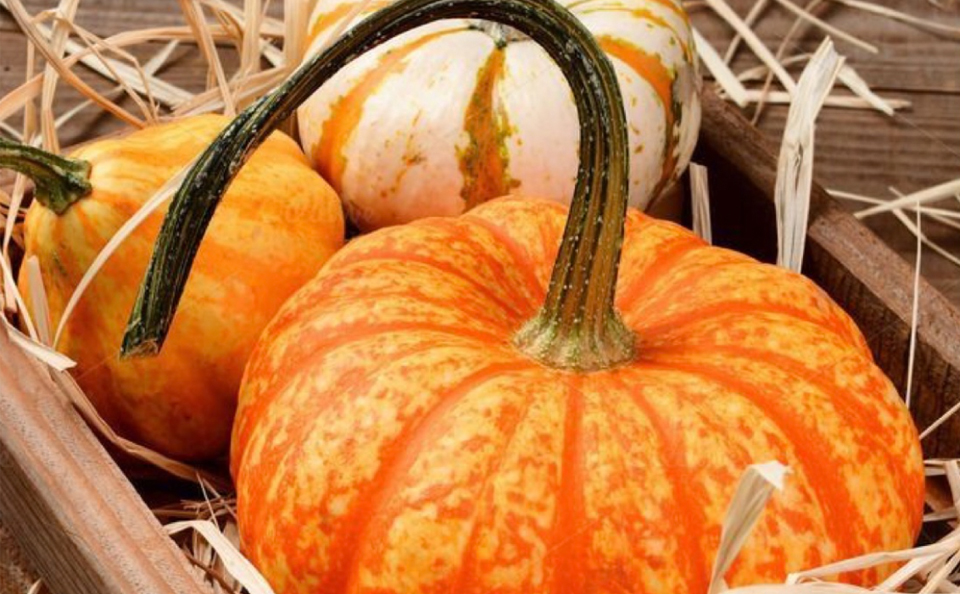 ピクニック
サンドアート