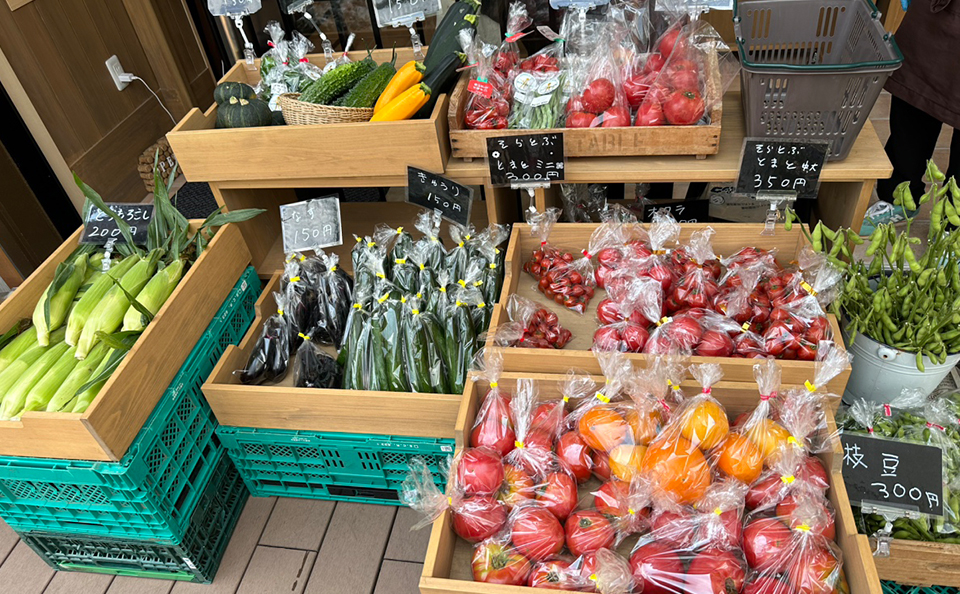 ピクニック
サンドアート